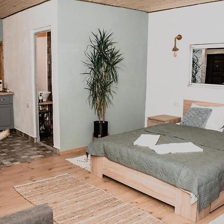 בראשוב Central Garden Apartments מראה חיצוני תמונה